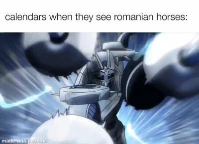 the horses did nothing wrong