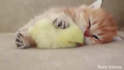 zzzzzzzzzzzzzzzzzzz