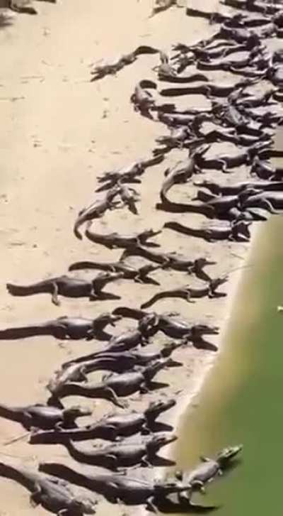 Dangerous beach in brasil