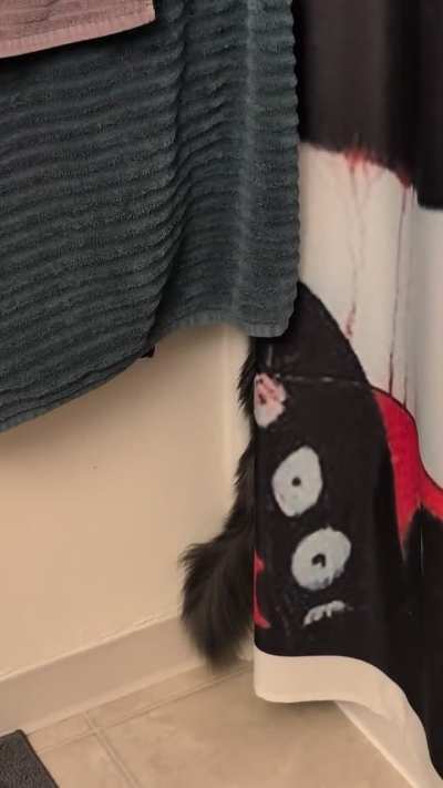 "show me the shower."