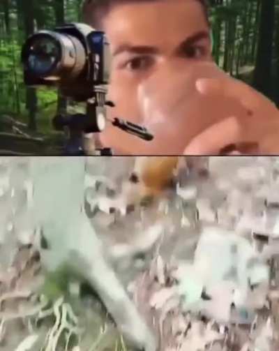 do something mf
