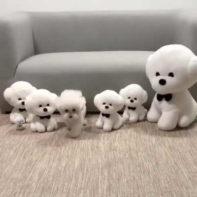 Cuteness Overload