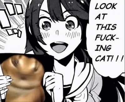 look at that cat