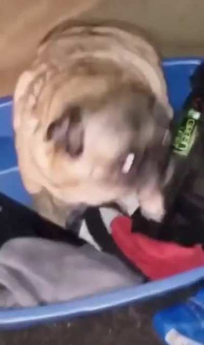 Ei man&eacute;