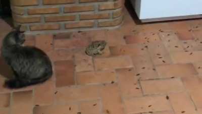 Pelo menos alguém está aproveitando a época de Aleluias por aqui