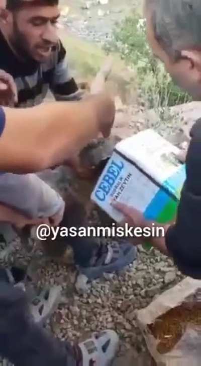 Rescuing a stucked bear