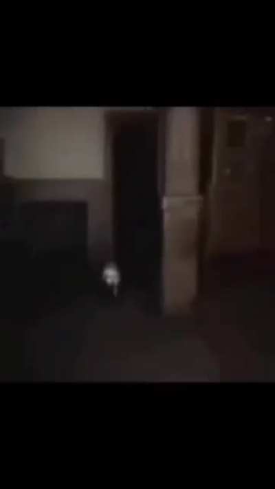 blursed_baby