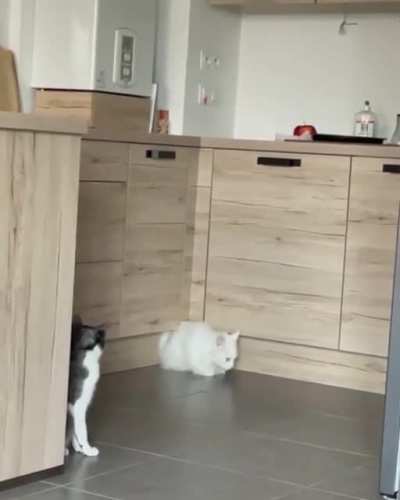 "Wtf?"