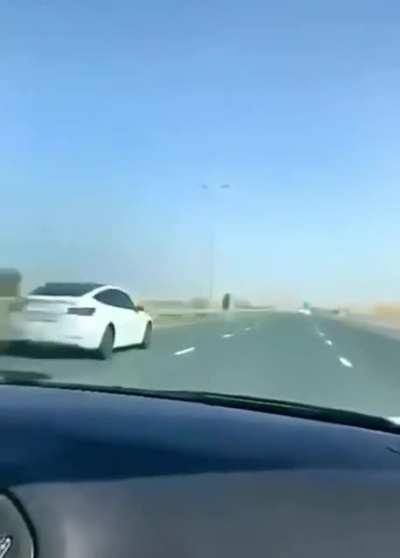Tesla hitting a camel in the middle of the street, in Dubai.