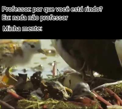 .....