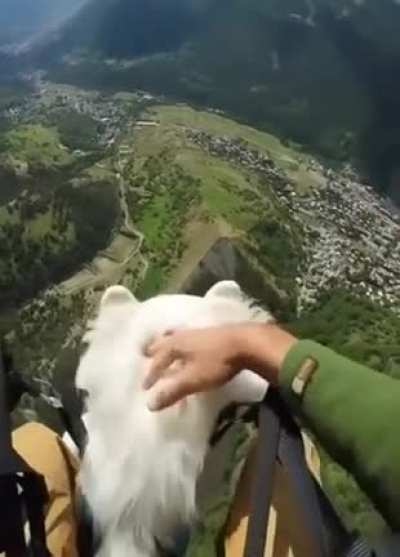 SiCk FuCk UsEs PoOr DoGgO aS a SaDdLe FoR sAtAnIc FlYinG mAcHiNe