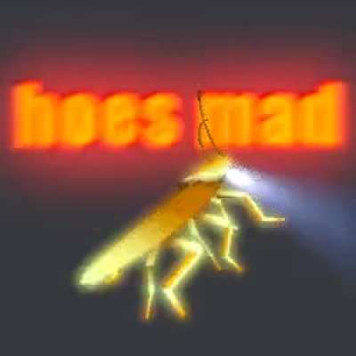 h&ouml;&euml;s m&auml;d