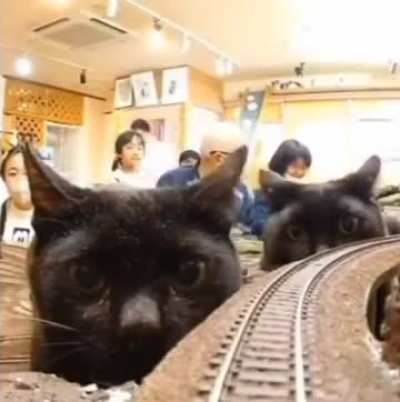 Rirbf8rbhdvdjdbd