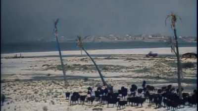 colorized footage of Palestine prior to 1948. I complied a bunch of videos and colorized a few myself, feel free to share! We Palestinians have always been in the land of Palestine and will continue to be