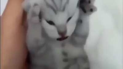 GER&Ccedil;EK DEĞİLSİN BİLİYORUM &Ccedil;IK KAFAMIN İ&Ccedil;İNDEN &Ccedil;IK