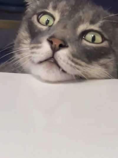 Much restraint