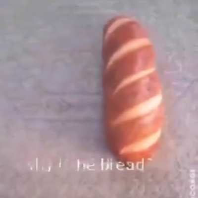 WTF QUE HICISTE CORGI