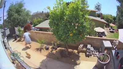 Nature at your doorstep
