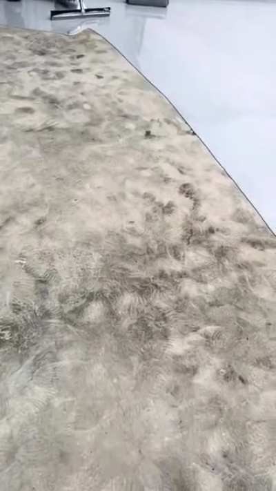 no footprints