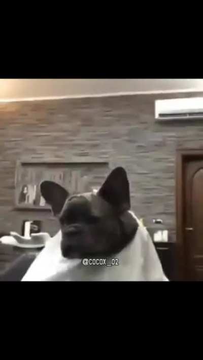 Cortesitos finos