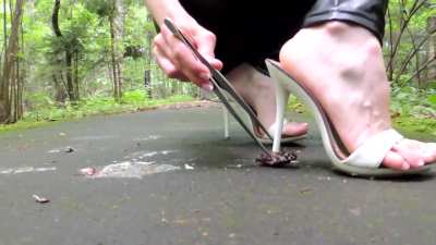 Evateen Bug Crush