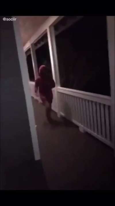 Into the shadow realm