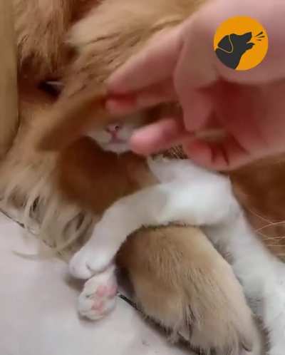 cuddly cuddly!!