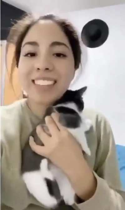 cat ain&rsquo;t a fan of this face filter