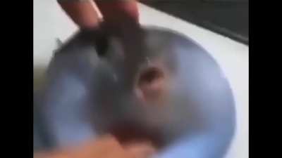 :o