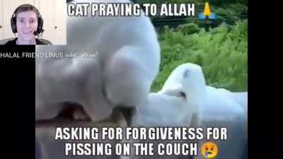 Cringe hu*man!!!always ruining things😠😠😠😠😠😠😠😠👎👎