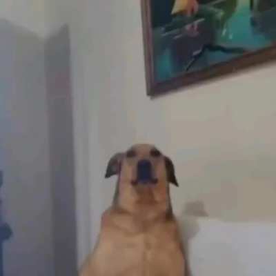 title