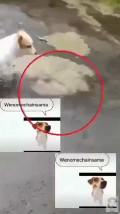 omg ⭕👈