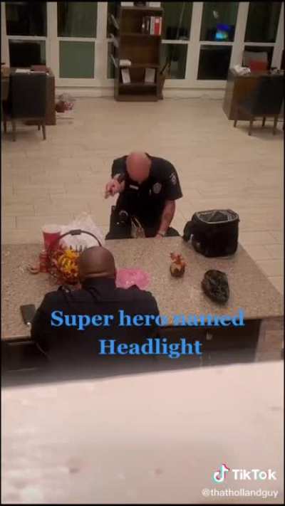 That&rsquo;s Shiny head
