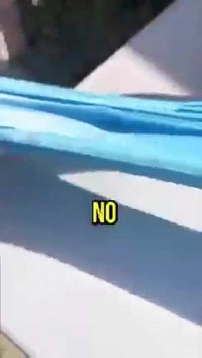 CUriosidades legais parte paguei sua prima 