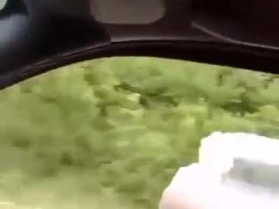 XD
