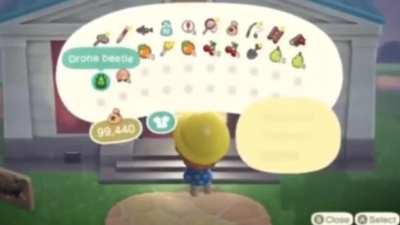 Blathers loves bugs