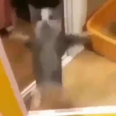 Wtf