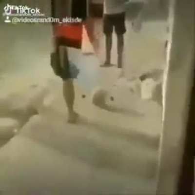 XD