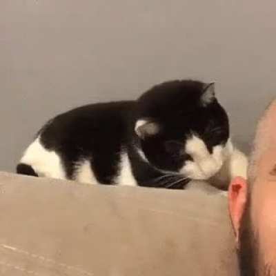 wot dis ?