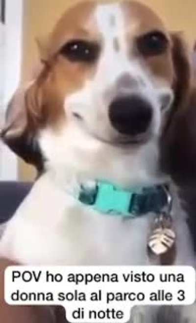 Nana nana nana 