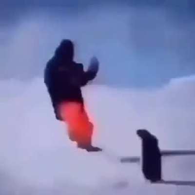 Kowalski an&aacute;lise