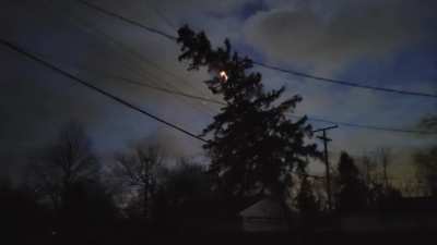 5 years ago the power company said this tree didn't need to come down.