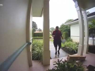 Difference between FedEx and UPS drivers