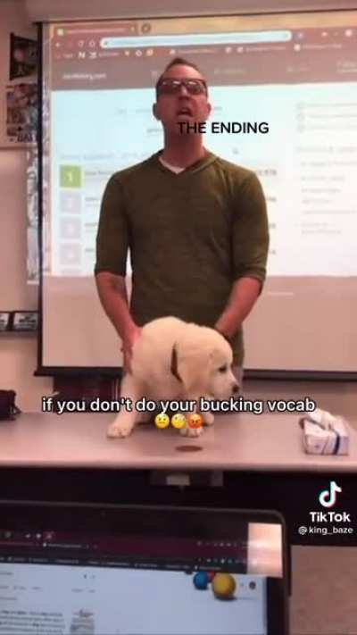 Not the dog