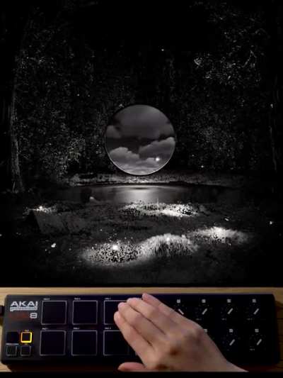 DigiScape - Forest: An interactive installation made with Unity3D &amp;lt;3