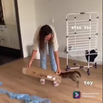 Puss in box