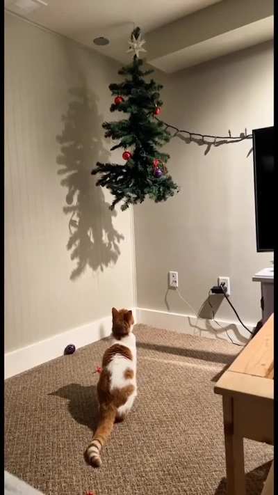 It&rsquo;s nearly that time