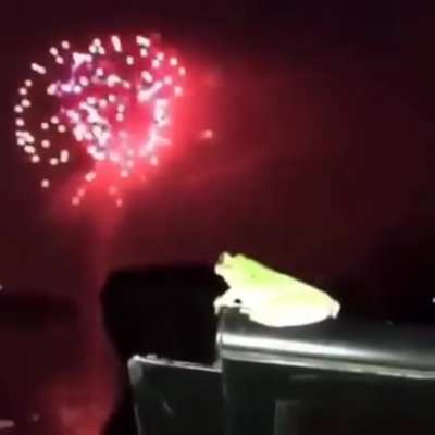 i frogor🐸