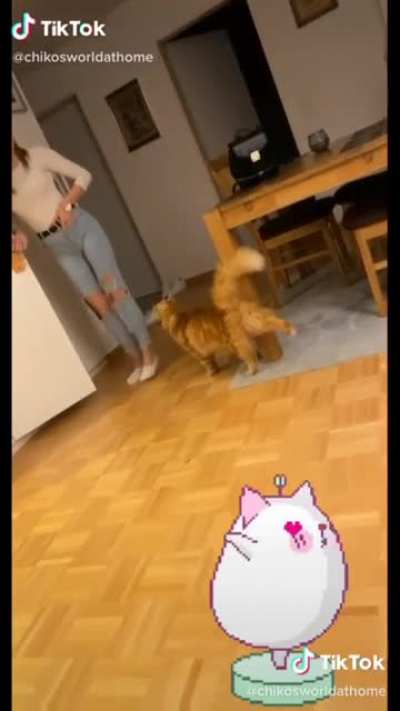 Leg Lifts