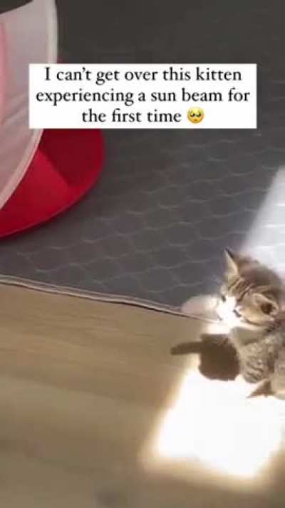 The way he&acirc;s trying to touch it